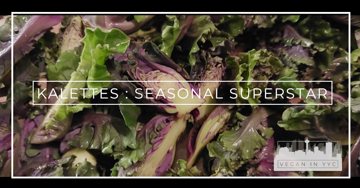 Kalettes: Seasonal Superstar